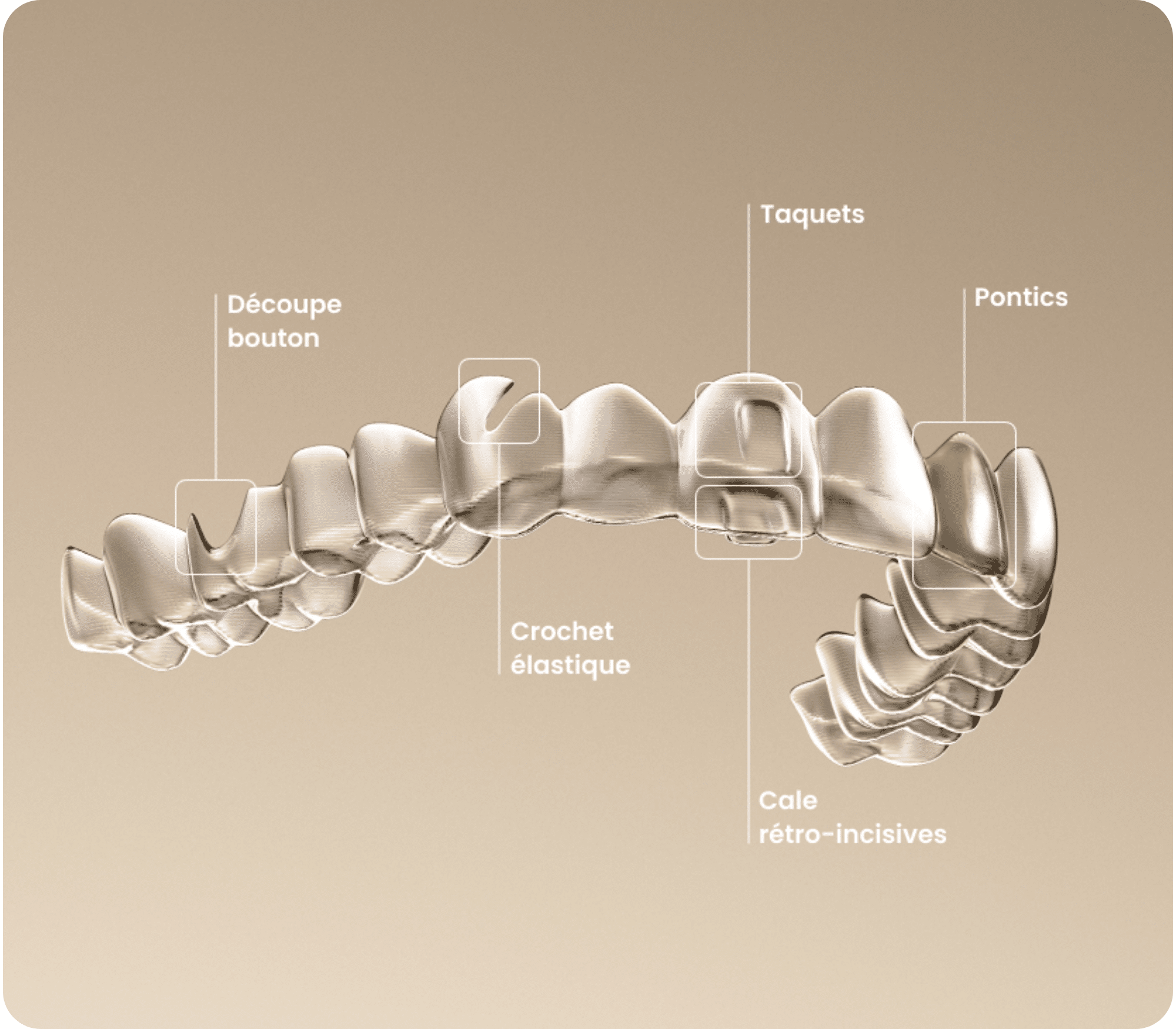 formation orthodontie